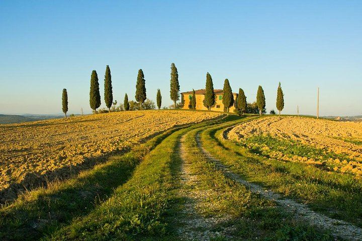 Private Chianti Wine Tour from Livorno Port: Greve, Panzano and a Hilltop Winery (6/8)