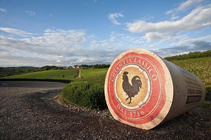 Private Chianti Wine Tour from Livorno Port: Greve, Panzano and a Hilltop Winery (3/8)