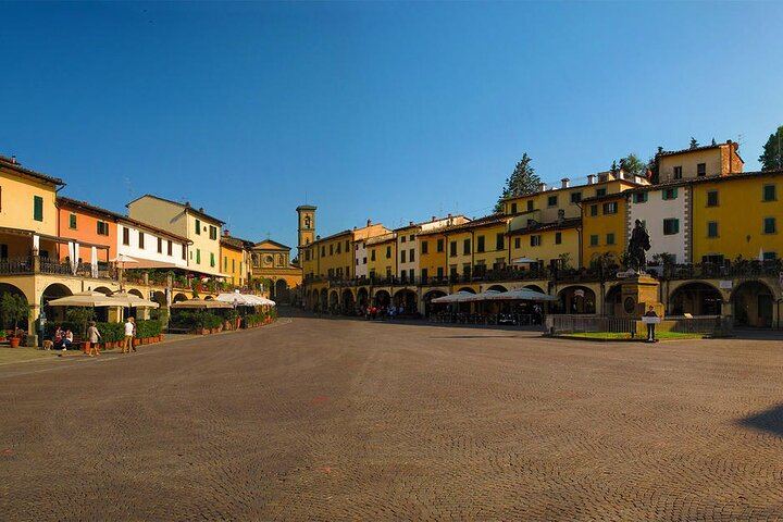 Private Chianti Wine Tour from Livorno Port: Greve, Panzano and a Hilltop Winery (7/8)
