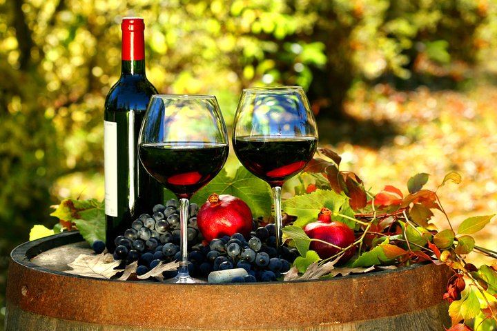 Private Chianti Wine Tour from Livorno Port: Greve, Panzano and a Hilltop Winery (2/8)