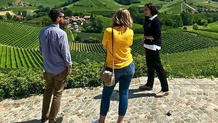 Private Tesla Wine Tour from Alba: Barolo and Barbaresco with Sommelier Pier and Chiara (3/12)