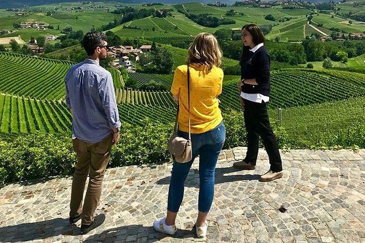 Private Tesla Wine Tour from Alba: Barolo and Barbaresco with Sommelier Pier and Chiara (3/12)