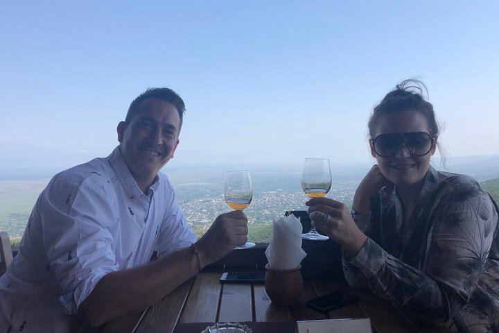Private Organic Wine Day Trip from Tbilisi: Gvardzelashvili, Vellino and Okros Cellars (9/12)
