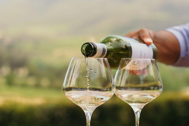 African Story 8-Hour Winelands Tour: Paarl, Franschhoek and Stellenbosch Estates (3/12)