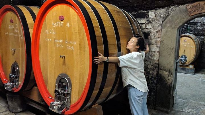 Small-Group Chianti Tasting from Florence at a 12th-Century Villa: Seven Wines and Lunch (2/9)