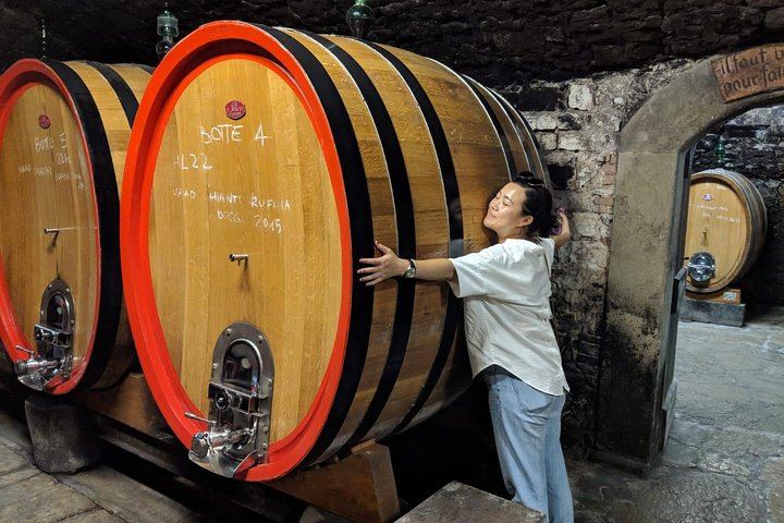Small-Group Chianti Tasting from Florence at a 12th-Century Villa: Seven Wines and Lunch (2/9)