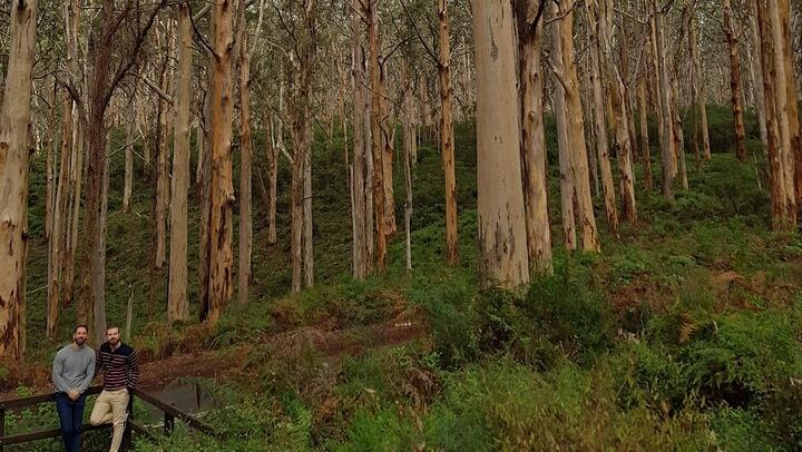 Margaret River Small-Group Tour: Coffee Roastery, Two Boutique Wineries, Boranup Forest (1/12)