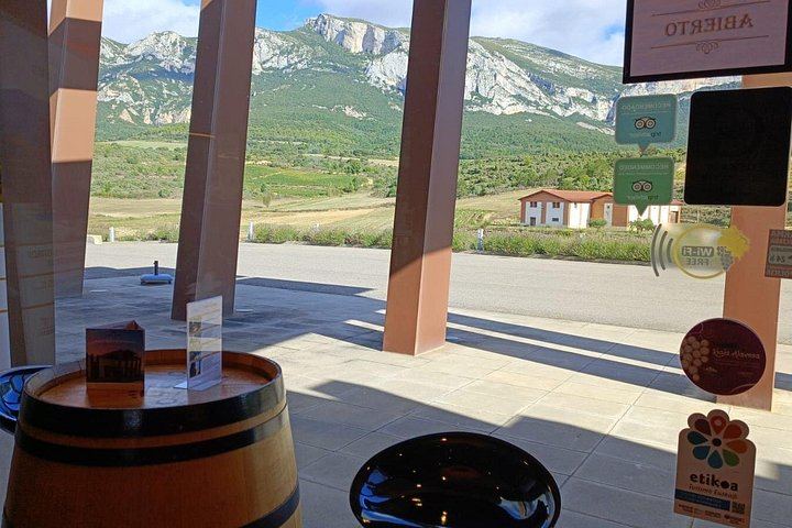 Private Rioja Wine Day from San Sebastian: Two to Three Wineries, Three-Course Lunch (4/12)