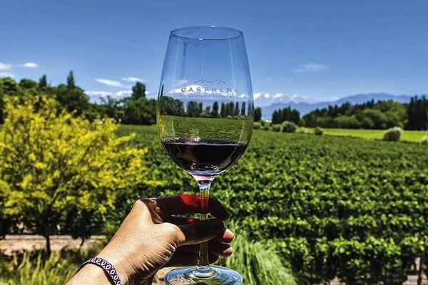 Luján de Cuyo Boutique Wine Tour with Peter Wine Tours and Family Producers
