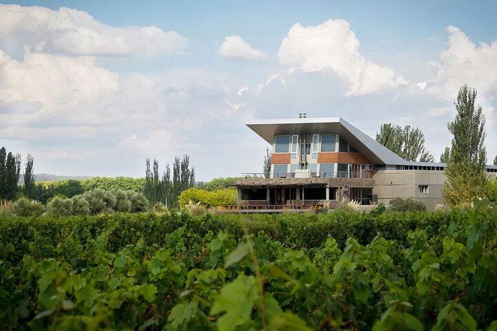 Luján de Cuyo Boutique Wine Tour with Peter Wine Tours and Family Producers (3/3)