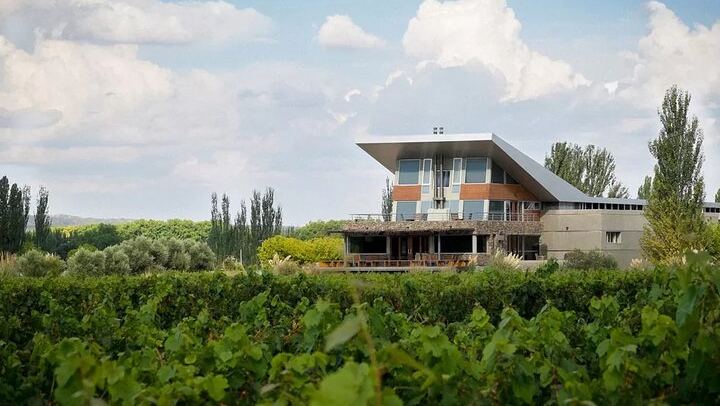 Luján de Cuyo Boutique Wine Tour with Peter Wine Tours and Family Producers (3/3)