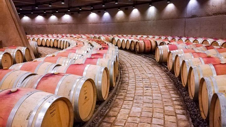 Private Luján de Cuyo Wine Day: Altieri, Susana Balbo and Sottano Lunch (4/9)