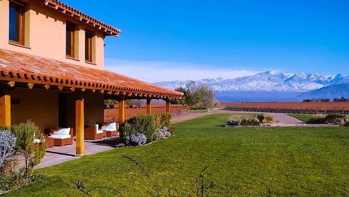 Private Luján de Cuyo Wine Day: Altieri, Susana Balbo and Sottano Lunch (2/9)