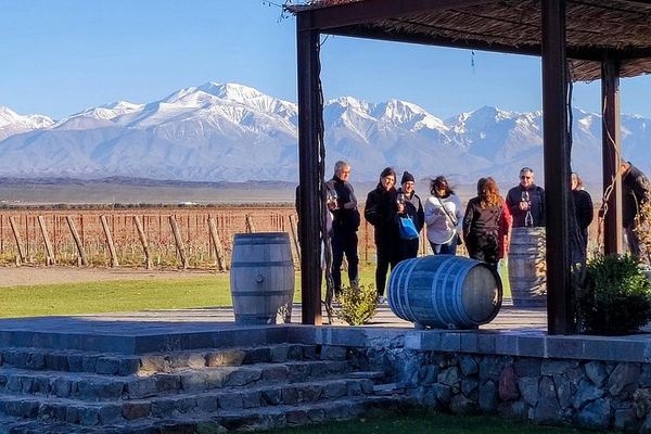 Private Luján de Cuyo Wine Day: Altieri, Susana Balbo and Sottano Lunch