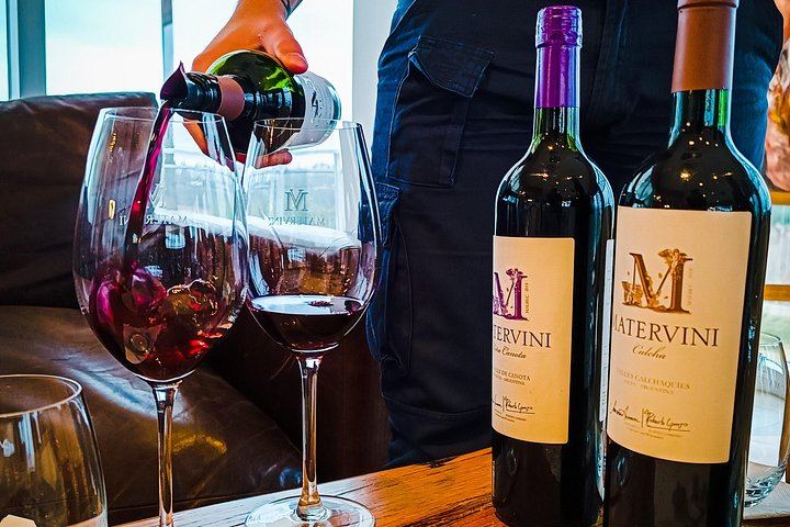 Private Luján de Cuyo Wine Day: Altieri, Susana Balbo and Sottano Lunch (7/9)