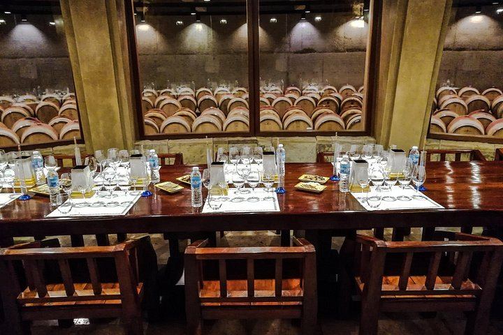 Private Luján de Cuyo Wine Day: Altieri, Susana Balbo and Sottano Lunch (8/9)