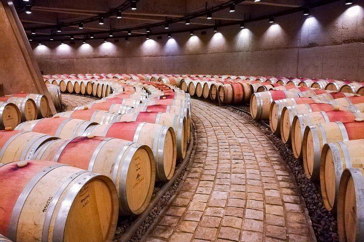 Private Luján de Cuyo Wine Day: Altieri, Susana Balbo and Sottano Lunch (4/9)