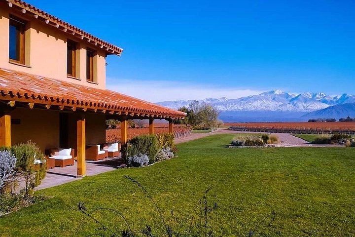Private Luján de Cuyo Wine Day: Altieri, Susana Balbo and Sottano Lunch (2/9)