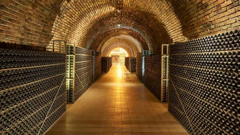Private Luján de Cuyo Sparkling Wine Tour: Chandon, Cruzat and Rosell Boher Lunch (1/8)