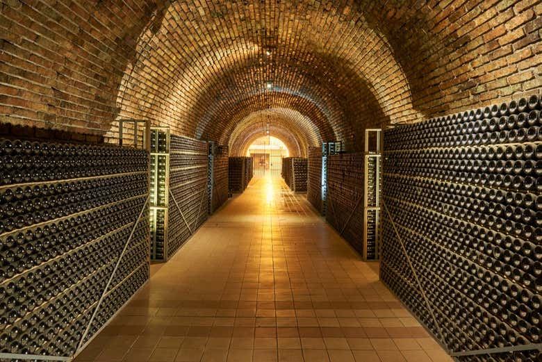 Private Luján de Cuyo Sparkling Wine Tour: Chandon, Cruzat and Rosell Boher Lunch (1/8)