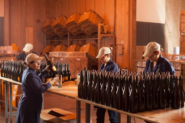 Private Luján de Cuyo Sparkling Wine Tour: Chandon, Cruzat and Rosell Boher Lunch (6/8)