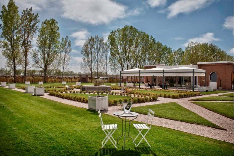 Private Luján de Cuyo Sparkling Wine Tour: Chandon, Cruzat and Rosell Boher Lunch (3/8)