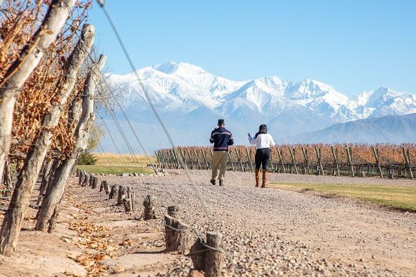 Luján de Cuyo Deluxe Full-Day Wine Tour: Caelum, Casarena and 6-Course Lunch