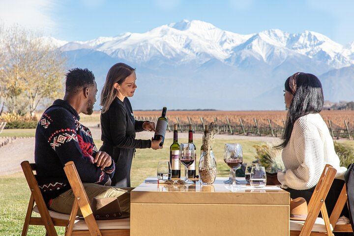 Luján de Cuyo Deluxe Full-Day Wine Tour: Caelum, Casarena and 6-Course Lunch (1/12)