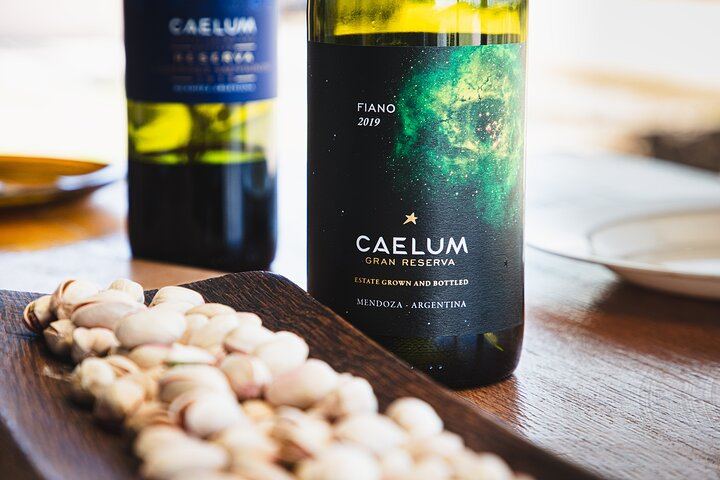 Luján de Cuyo Deluxe Full-Day Wine Tour: Caelum, Casarena and 6-Course Lunch (2/12)