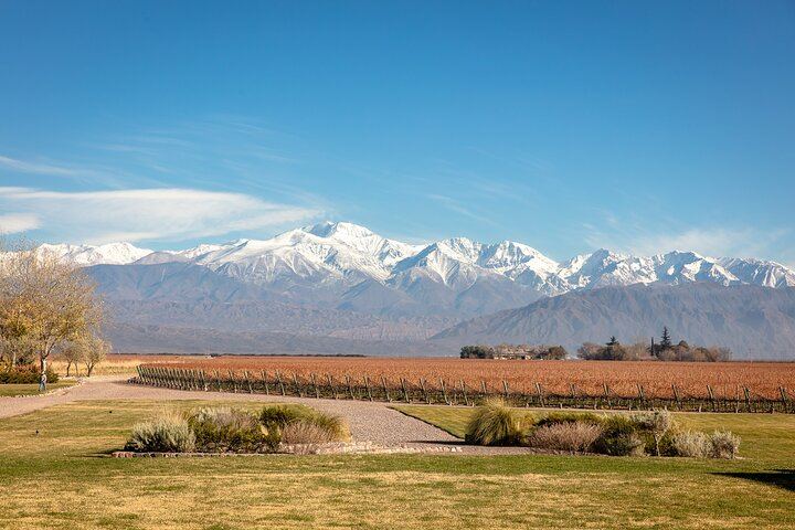 Luján de Cuyo Deluxe Full-Day Wine Tour: Caelum, Casarena and 6-Course Lunch (7/12)