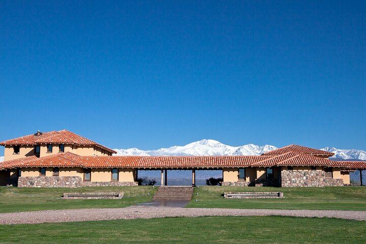 Luján de Cuyo Deluxe Full-Day Wine Tour: Caelum, Casarena and 6-Course Lunch (4/12)