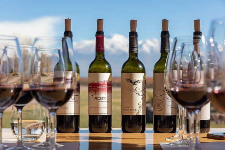 Luján de Cuyo Deluxe Full-Day Wine Tour: Caelum, Casarena and 6-Course Lunch (6/12)