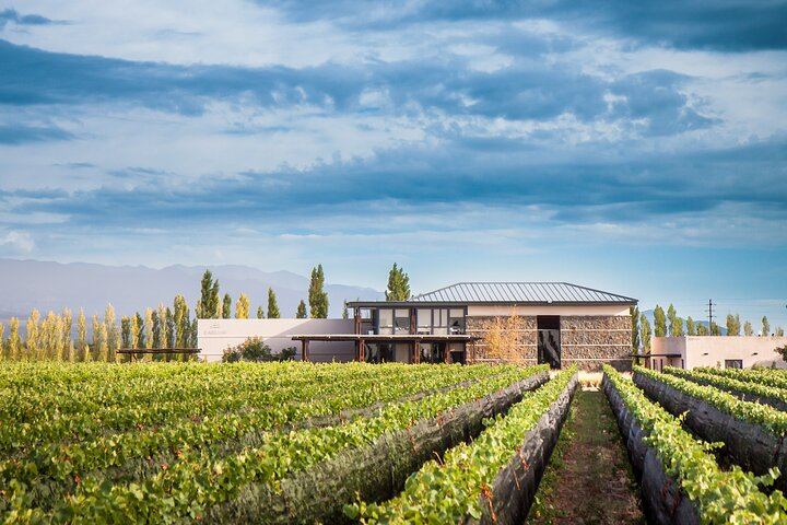 Luján de Cuyo Deluxe Full-Day Wine Tour: Caelum, Casarena and 6-Course Lunch (8/12)