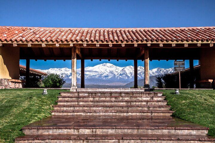 Luján de Cuyo Deluxe Full-Day Wine Tour: Caelum, Casarena and 6-Course Lunch (5/12)