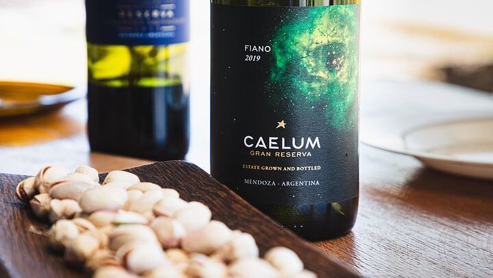 Luján de Cuyo Deluxe Full-Day Wine Tour: Caelum, Casarena and 6-Course Lunch (2/12)
