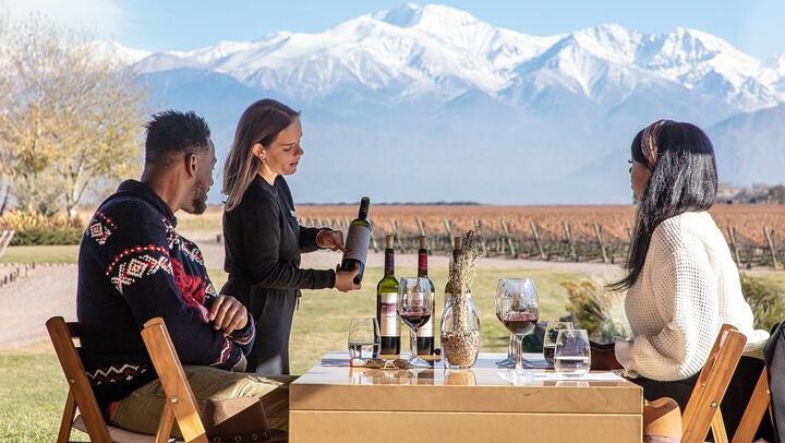 Luján de Cuyo Deluxe Full-Day Wine Tour: Caelum, Casarena and 6-Course Lunch (1/12)