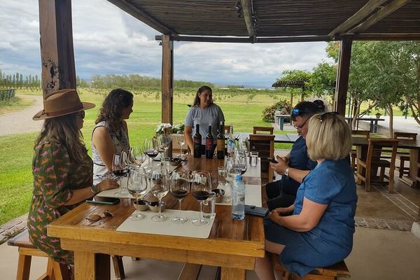 Luján de Cuyo Wine Tour: Caelum Tasting and Paired Lunch at Chandon