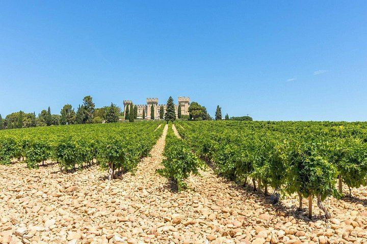 In-Depth Châteauneuf-du-Pape Wine Course: Terroirs, Viticulture and Tastings (1/4)
