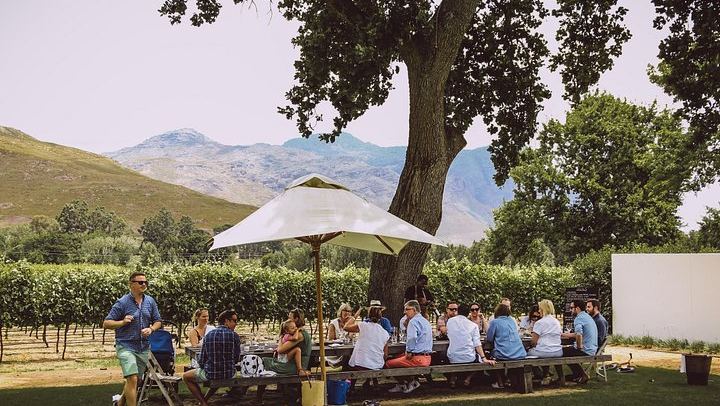 Franschhoek Wine Tram Hop-On Hop-Off Day from Cape Town: Navy Line, Coach Transfer (4/8)