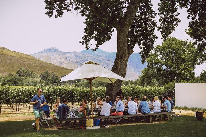 Franschhoek Wine Tram Hop-On Hop-Off Day from Cape Town: Navy Line, Coach Transfer (4/8)