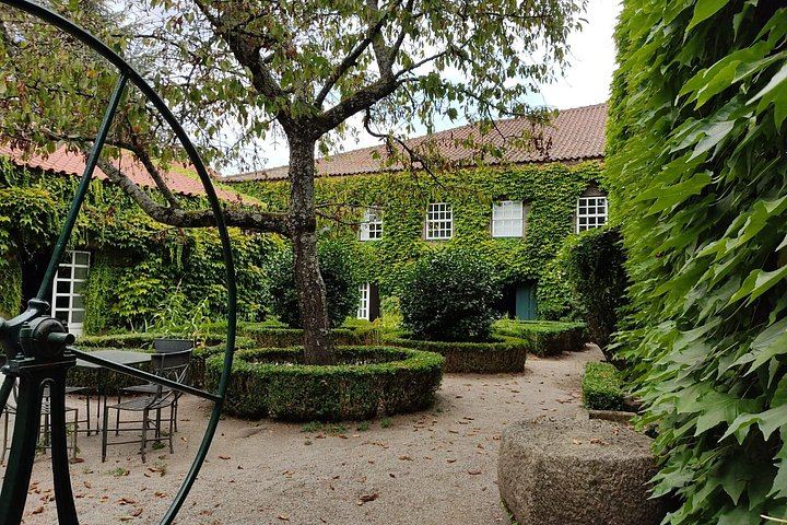 Douro Valley Premium Small Group from Porto: Port Tasting, Boat Ride, Farm Lunch (5/12)