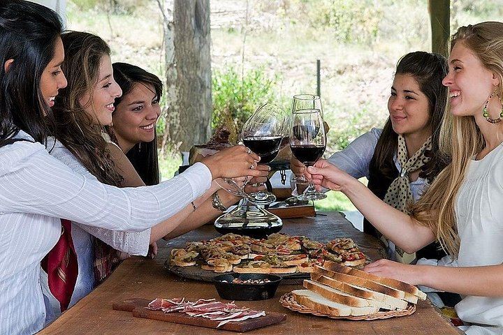 Maipú Private Wine Route: Finca Agostino, Sin Fin and an Olive Oil Boutique (7/12)