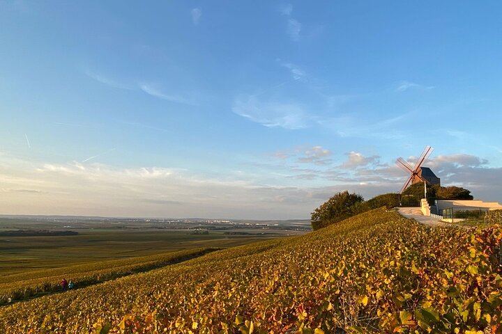 Private Mercedes Champagne Day with Chauffeur-Guide: Veuve Clicquot, Moët & Chandon, Lunch (3/12)