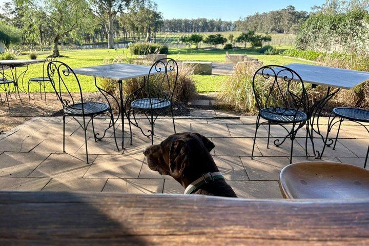 Hunter Valley Small-Group Day Tour by Mercedes Van: Krinklewood, 1813, Keith Tulloch (11/12)