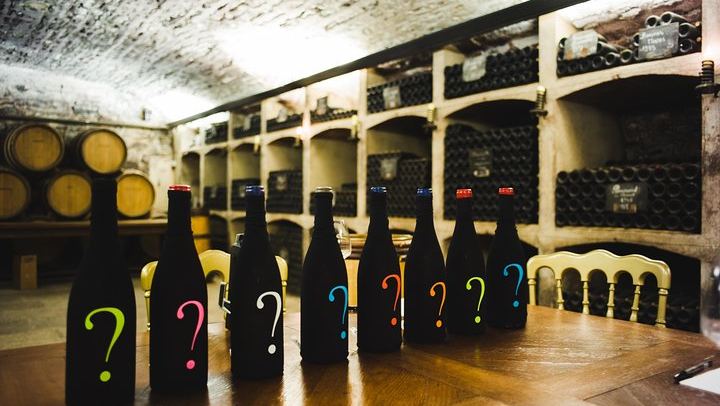 Luxury Burgundy Wine Tour by Mercedes with Private Tastings of the Region's Greatest Wines (4/10)