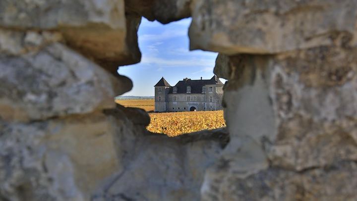 Luxury Burgundy Wine Tour by Mercedes with Private Tastings of the Region's Greatest Wines (1/10)