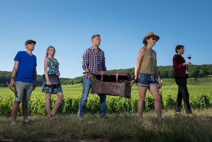 Luxury Burgundy Wine Tour by Mercedes with Private Tastings of the Region's Greatest Wines (5/10)