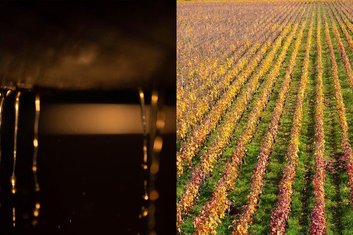 Luxury Burgundy Wine Tour by Mercedes with Private Tastings of the Region's Greatest Wines (6/10)