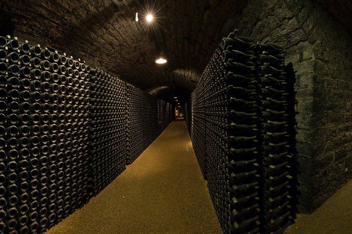 Luxury Burgundy Wine Tour by Mercedes with Private Tastings of the Region's Greatest Wines (10/10)