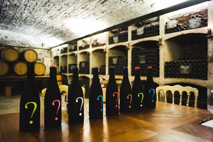 Luxury Burgundy Wine Tour by Mercedes with Private Tastings of the Region's Greatest Wines (4/10)